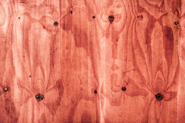 100 Wood Texture Collection