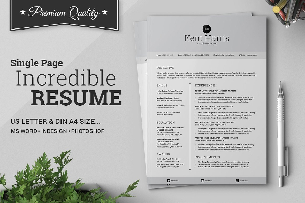 Incredible Single Page Resume Template