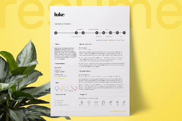 Attractive Single Page Resumes