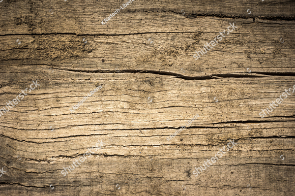 Creative Wood Texture