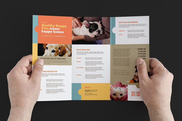 Veterinary Clinic Brochure Template