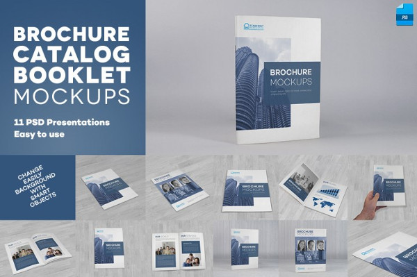 Brochure or Catalog  Mockups
