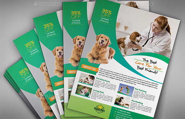 Abstrct Pets Care Flyer Template