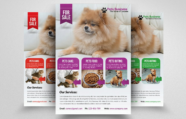 Ameaging Pet Flyers Bundle