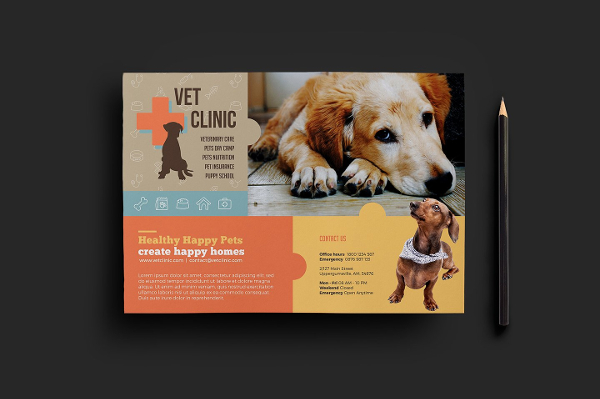 Clean Pet Clinic Flyer Template