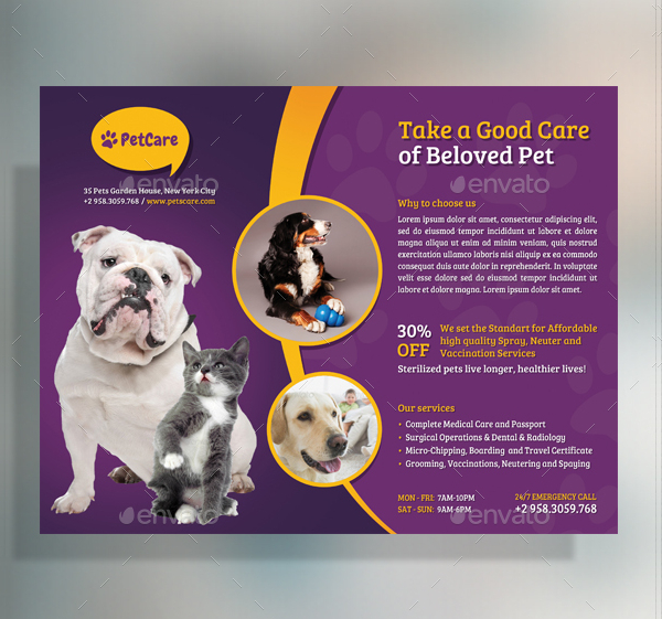 Pet Care Professional Flyer Template