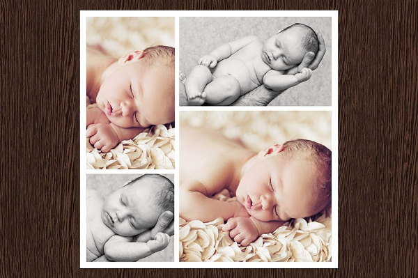 Photo College Vector Template