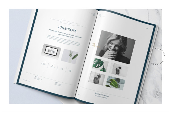 Filmore Fashion Proposal Brochure