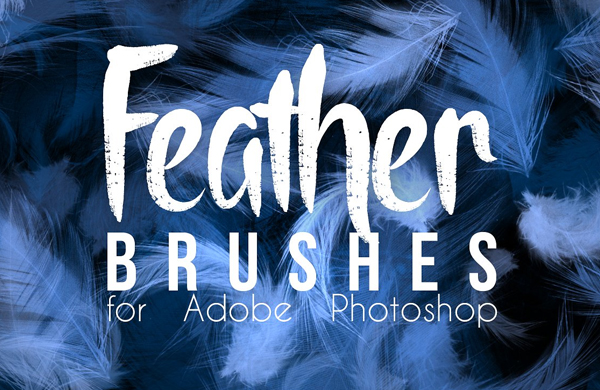 Feather Photoshop Brushes