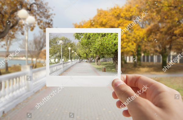 Holding Instant Photo Background