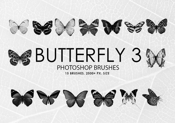 Free Butterfly Photoshop Brushes