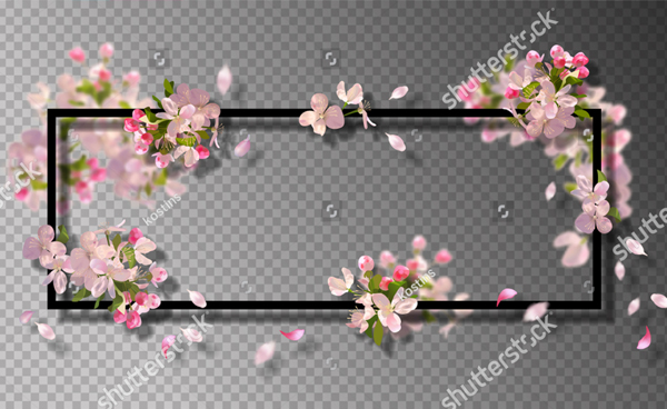 Spring Flowers on Transparent Background