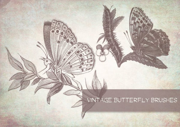 Vintage Butterfly Brushes