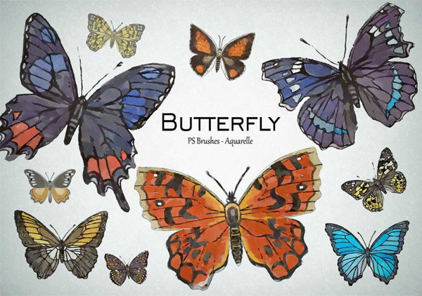 Watercolor Free Download Butterfly PSD Brushes