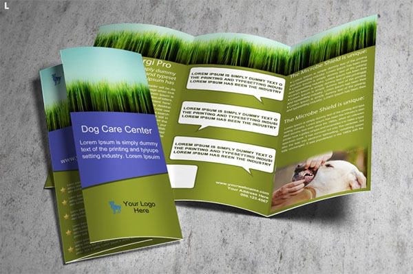 Ediatable Home Pet Care Trifold Brochure