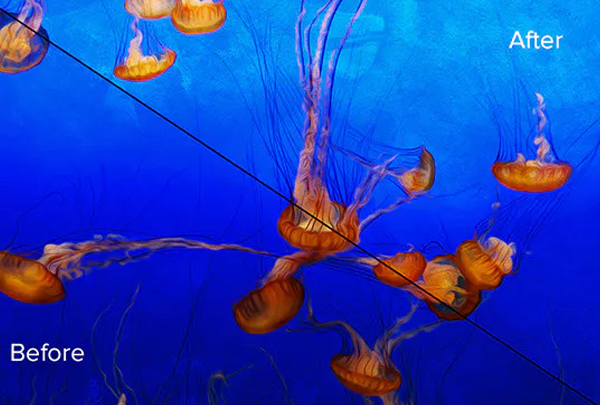 Grunge Paint Overlays