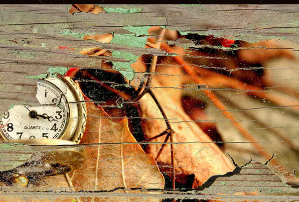 Best Vintage Overlay for Images