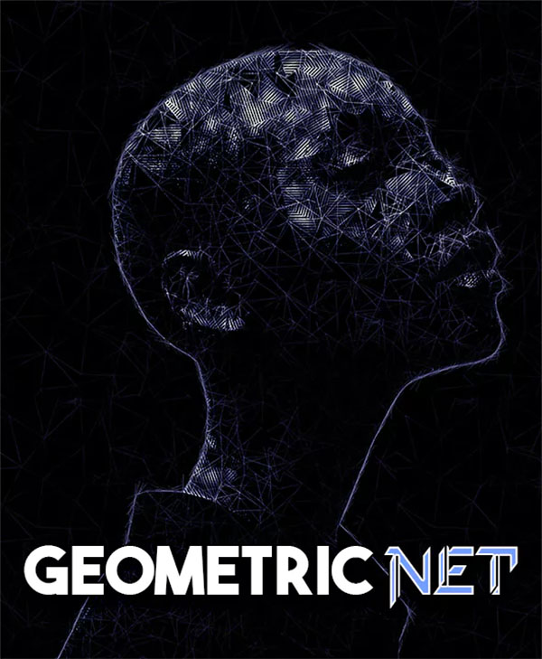 Geometric Net Photoshop Action