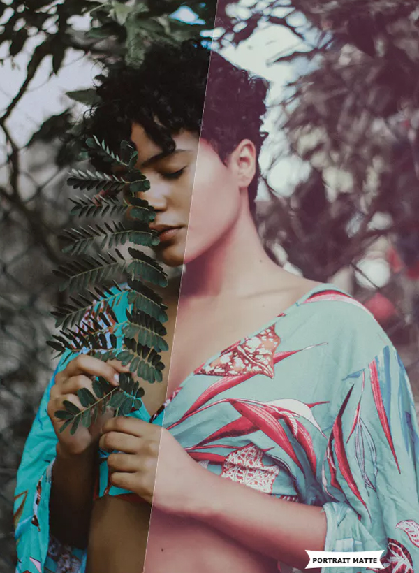 Portrait Matte Action