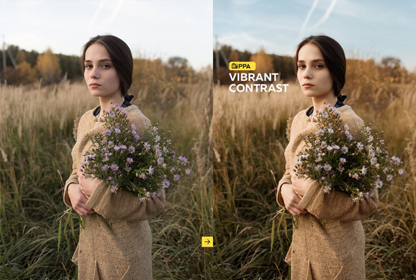 Professional Photoshop Actions