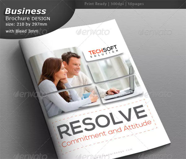 Lawyer Brochure Design