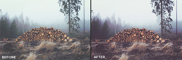 The Mini Collection Free Photoshop Actions
