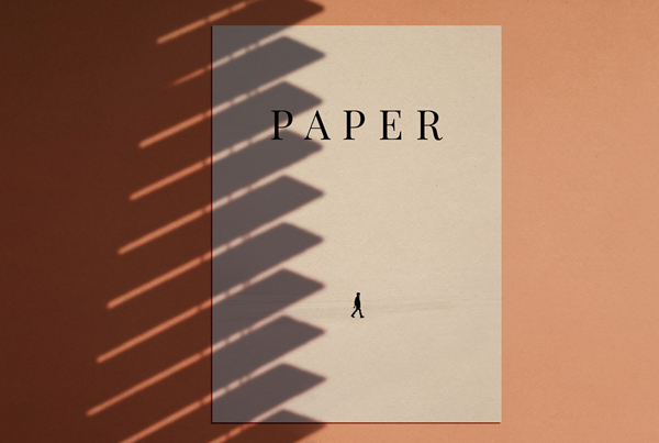 Free Shadow Stationery Mockup Set