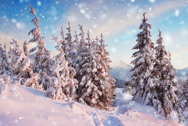 Snow Photoshop Actions