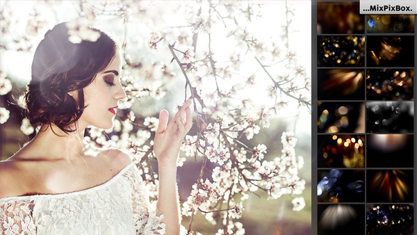 Spring Sunbeams Photo Overlays