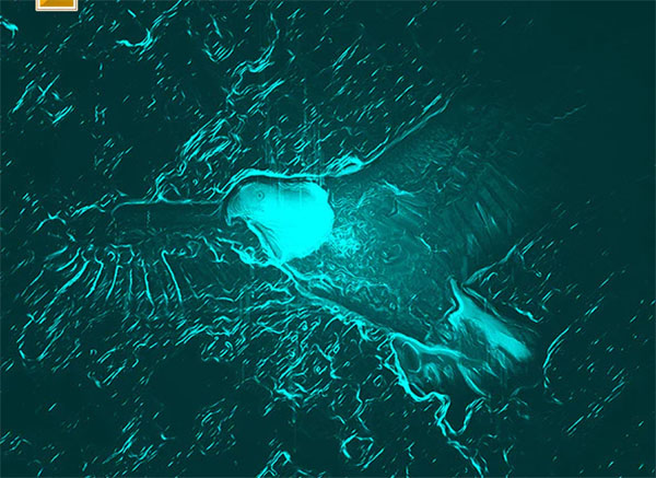 Line Photoshop, ATN Action