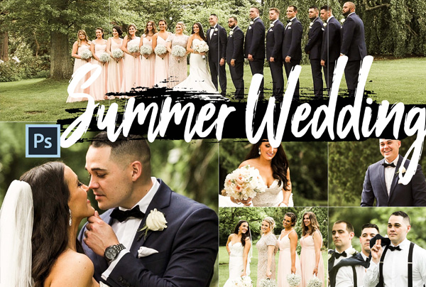 Wedding Theme Color Gradient Action