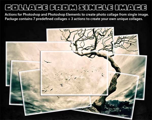 Collage From Single Image Actions