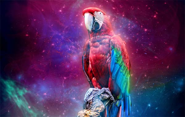 Light Dust Photoshop Actions