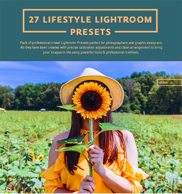 Modern Lifestyle Lightroom Presets