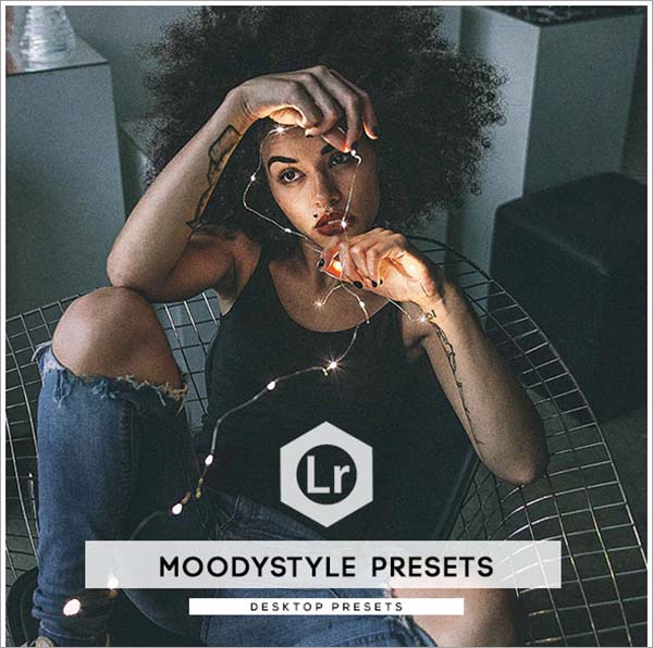 Moody Lifestyle Presets