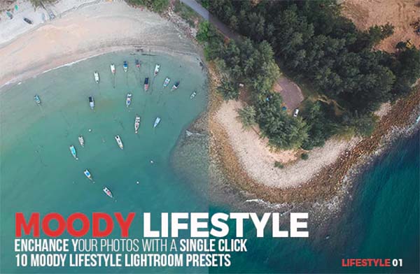 Moody PSD Lifestyle Lightroom Preset