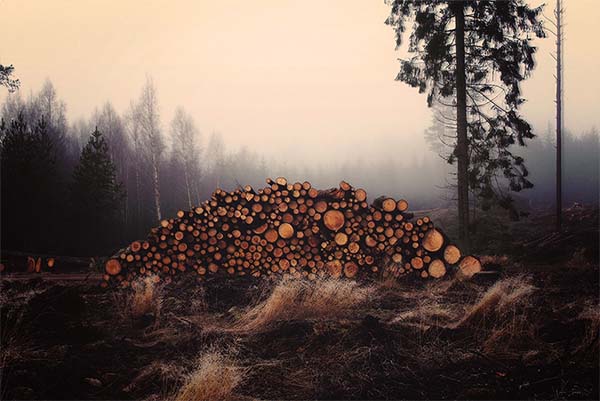 Photoshop Actions Film Set Design