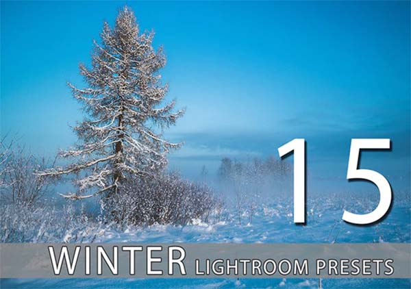 Winter Lightroom Premium Presets