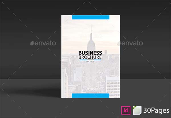 Business Solution Brochure PSD Template
