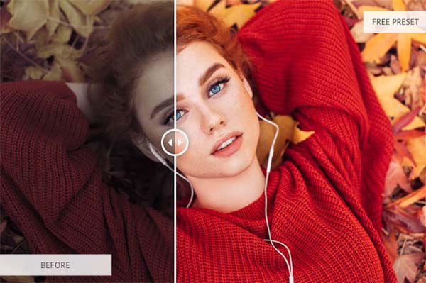 Free Lightroom Preset Portrait
