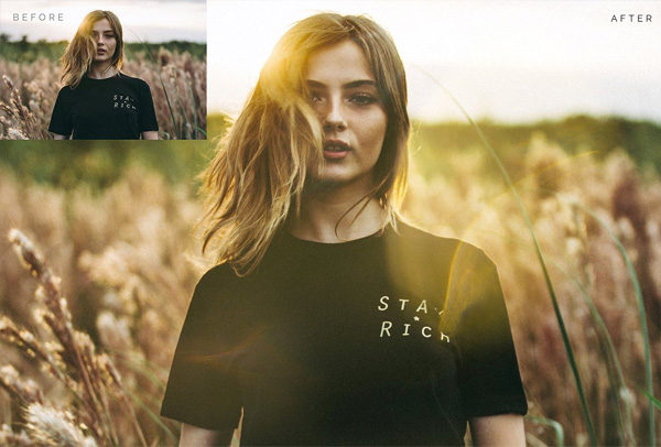 Prism Collection