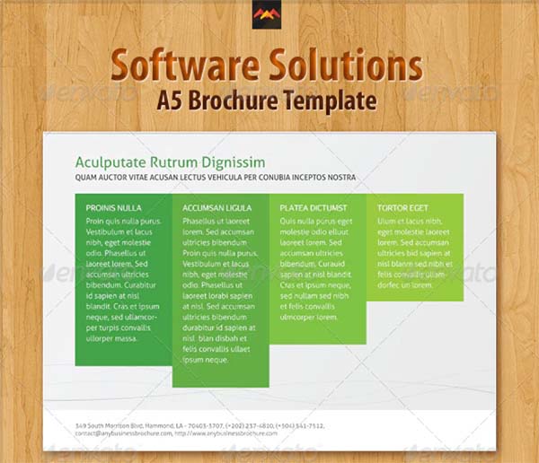 Software Solutions Brochure Templates