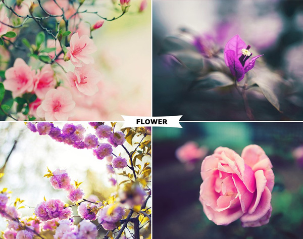 Flowers Photoshop Actions Template