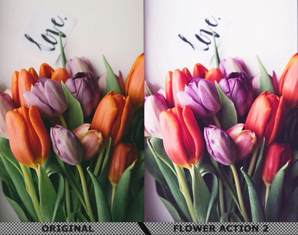 Flowers Photoshop Best Actions