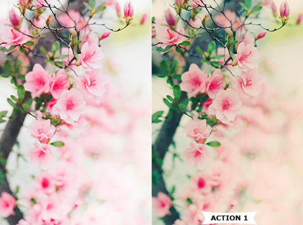 Flowers Photoshop Modern Actions