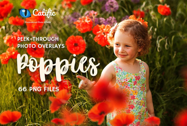 Poppie Flowers Photo Overlays