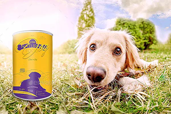 Best Food Packaging Designs | 30+ Free & Premium Photoshop | Illustrator Format Downloads