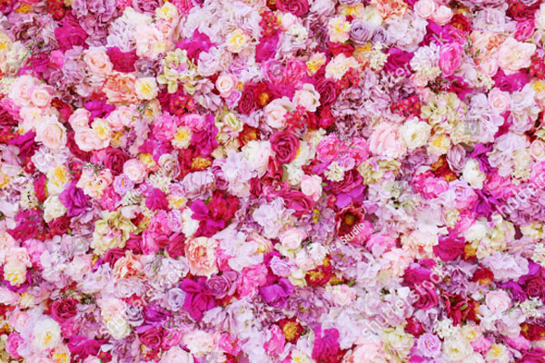 21+ Flower Backgrounds | Free & Premium PSD PNG Vector Downloads