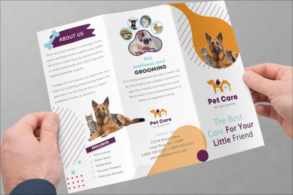 24+ Pet Care Brochure Templates – Free & Premium PSD illustrator indesign Downloads