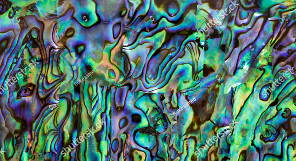 Abalone Shell Texture HD Background